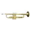 Eastrock Bb Standard Student Trumpet With Hard Case