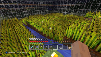 Minecraft PS4