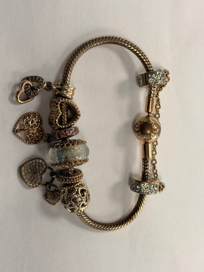 pandora bracelet and charms