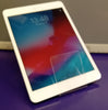 Apple iPad Mini **2nd Generation** - 7.9” - 16GB - White / Silver