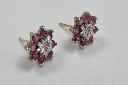 9ct Gold Earrings with red stones