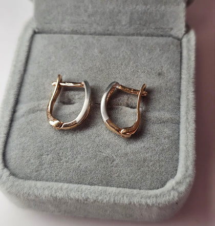 14ct Two Colour Gold Earrings