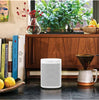Sonos One Wireless Smart Sound Speaker-Boxed
