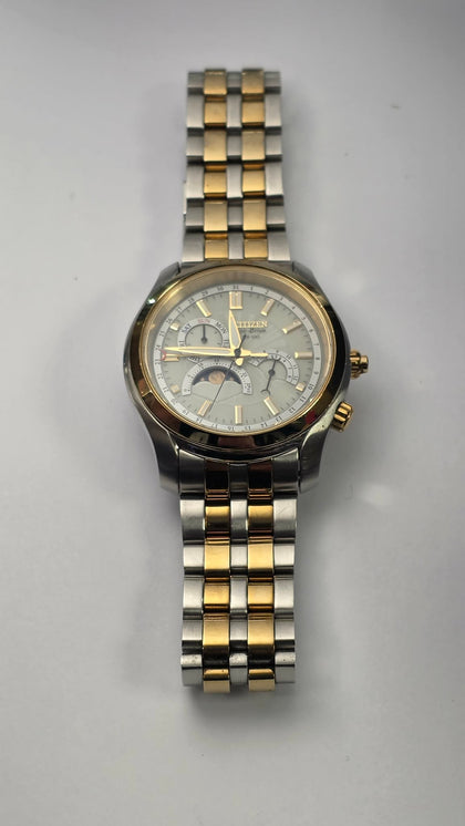 Citizen Men's Eco-Drive Moon Phase Watch