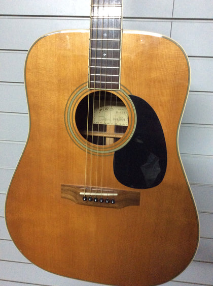Fenix Semi Acoustic Guitar D-85S