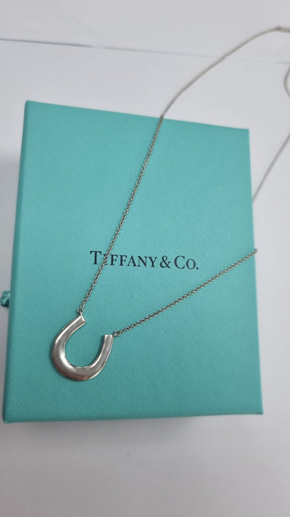 Tiffany & Co sterling silver Necklace LEYLAND.