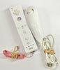 Nintendo Wii