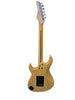 Cort G260 Electric Guitar - Six String - Natural Ash Body