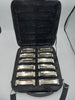 Aria Folk Blues 10-Hole Diatonic Silver Harmonicas Set of 12 - *Original Case* **SALE PRICE**