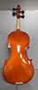 Forenza F1151A Uno Violin Series with 4/4 Case