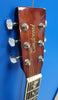 Tanglewood Semi-Acoustic Guitar - Tan