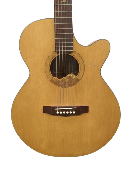 Vintage VMEC2000N Semi Acoustic Guitar with Haard Case