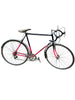 RALEIGH RACING BIKE