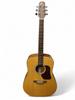 Walden Natura D550 Acoustic Guitar **COLLECTION ONLY**