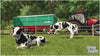 Farming Simulator Signature Edition *Collection Only*