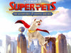 DC League of Super Pets The Adventures of Krypto and Ace for Nintendo Switch