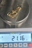 9ct Gold Curb Bracelet 9"