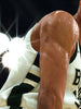 NBA 2K19 for PS4