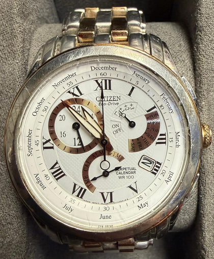 Citizen Men's Calibre 8700 Eco-Drive Perpetual Calendar Watch