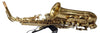 Eastar AS-? Student Alto Saxophone E Flat Gold Lacquer Alto Beginner Sax Full Kit With Carrying Sax Case Mouthpiece Straps