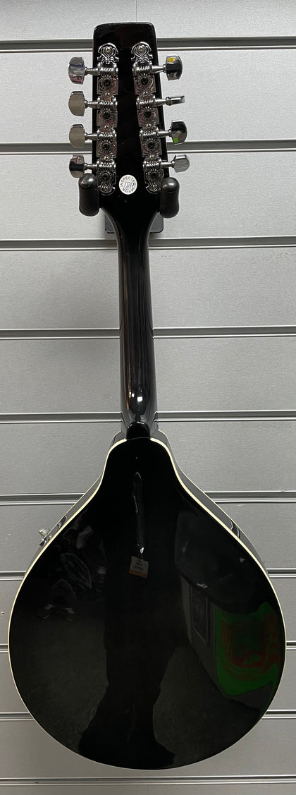 Ashbury gr-3127 Mandolin