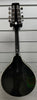 Ashbury gr-3127 Mandolin