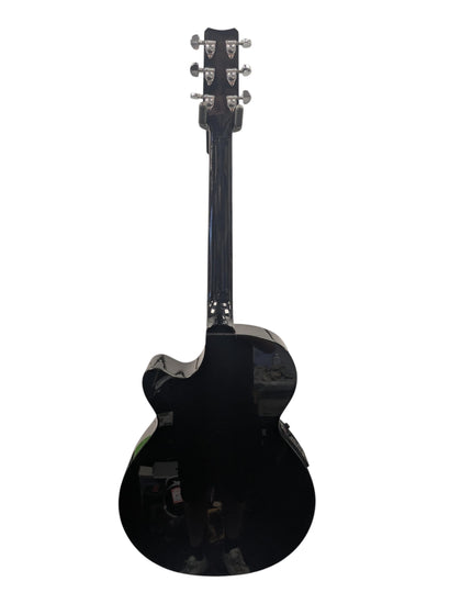 Rainsong PMJ-1000 Acoustic Guitar & Hard Case (Read Description)