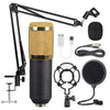 Studio Equipment Condenser Microphone 20Hz-20khz Frequency Response Mic Gold