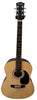 Martin Smith Acoustic Guitar