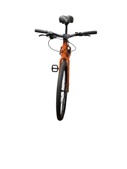 Whyte Victoria Women's Small Frame 25 Inch Wheels Orange 