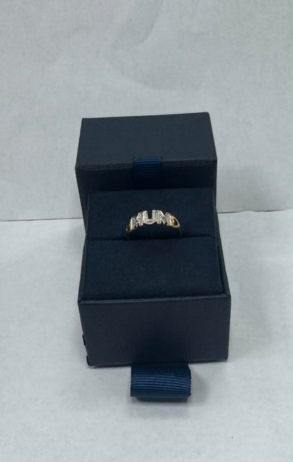 1.02g 9ct Gold 