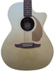 Fender Newporter Player CHP WN 2021 Champagne