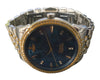 Vivienne Westwood Ladies Wallace Watch