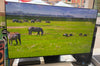 Samsung 65" 4K OLED Smart AI TV