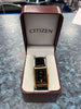 citizen watch