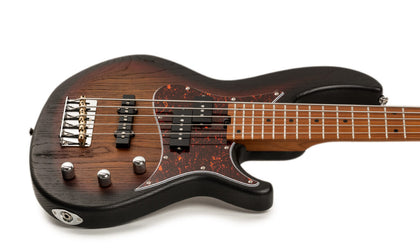 Harley Benton JP-550P ( 24 Month Warranty)