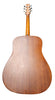 Walden Natura D550 Acoustic Guitar