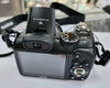 Fujifilm FinePix S2950 Compact Digital Camera