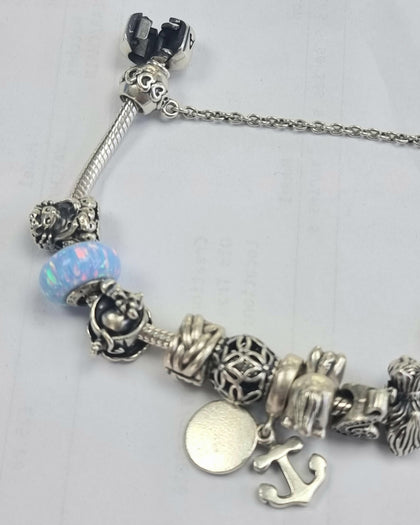 Pandora Bracelet 21cm + 15 Charms + Safety Chain