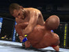 Ufc Undisputed 2010 (Sony Playstation 3)