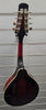 Stagg M50E Electro Mandolin