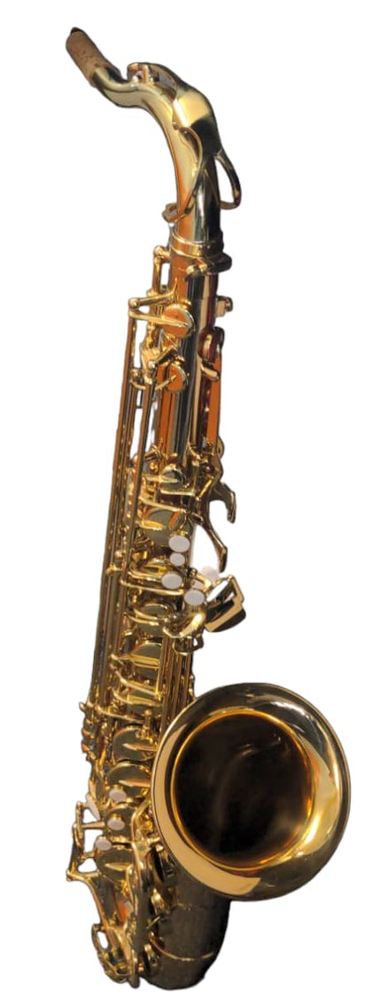 Elkhart Alto Saxophone 100AS