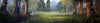 Far Cry Primal ps4