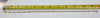 14ct Two Tone Gold Anklet 12"