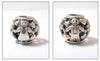Pandora Family Forever Charm