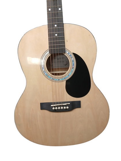 ***January Sale*** Martin Smith Acoustic Guitar **STORE COLLECTION**