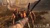 THE ELDER SCROLLS V