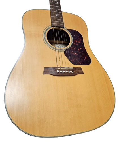 Walden Natura D550 Acoustic Guitar