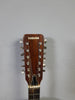 Kasuga 1972 T-15 12 String guitar