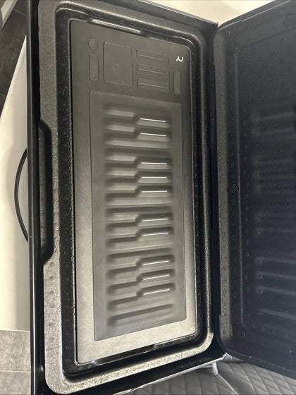 Roli Seaboard Rise 25